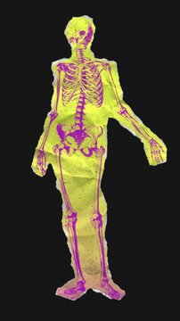 A drag and drop skeleton anatomy themed colourful ephemera that animates into place from torn paper.
