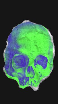 A drag and drop skeleton anatomy themed colourful ephemera that animates into place from torn paper.
