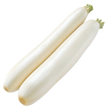 Two fresh daikon radishes smooth white skin green leafy tops angled view isolated on white background
