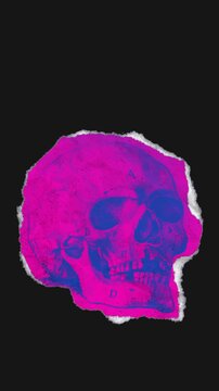 A drag and drop skeleton anatomy themed colourful ephemera that animates into place from torn paper.
