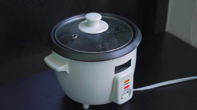 High-quality sound recording in uncompressed WAV format of a rice cooker working before the water starts boiling, producing a loud steady kitchen appliance hum for Foley, editing, and audio library