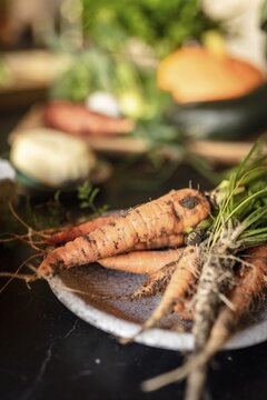 Freshly harvested organic carrots, in the background other vegetables from the garden, Irschen, Carinthia, Austria