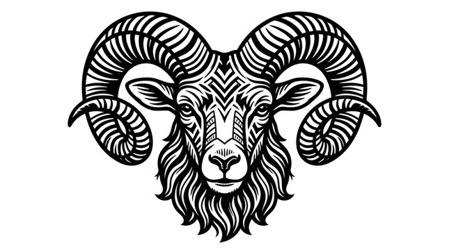 Intricate bighorn ram head illustration.
