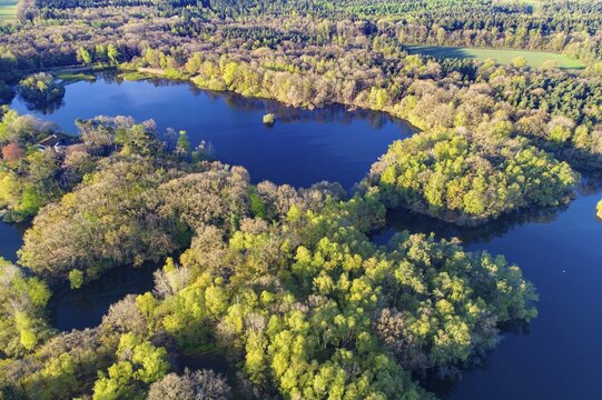 Aerial view of Ahlhorn fish ponds, autumnal, pond, lake, Lower Saxony State Forests, Ahlhorn, Lower Saxony, Germany