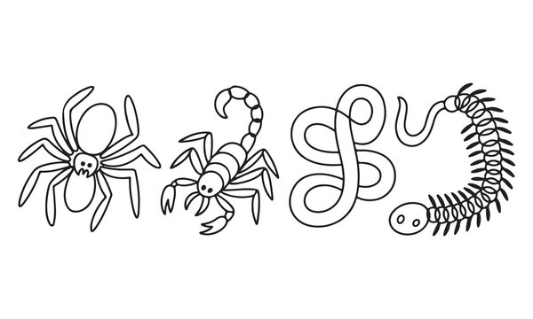 Continuous single line of four creepy crawly insects including a spider, a scorpion, a worm, and a centipede, isolated on a white background, black ink