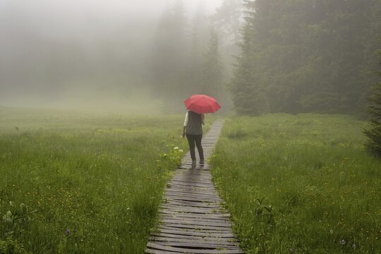 Woman 60-65 with umbrella in the H&uuml;hnermoos on a cloudy day with fog, a high moor at the S&ouml;llereck near Oberstdorf, Allg&auml;u Alps, Allg&auml;u, Bavaria, Germany