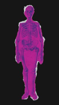 A drag and drop skeleton anatomy themed colourful ephemera that animates into place from torn paper.
