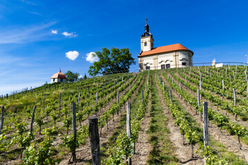 Fototapeta premium church in middle of a vineyard in Moravia