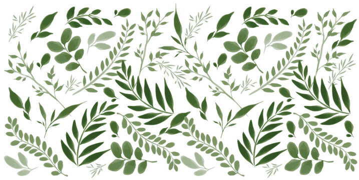 Hand drawn watercolor floral element painting pattern illustration