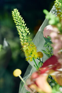 Vertical shot of wrapped flower bouquet displaying yellow blossoms and pink bloom, supporting floral retail and gift giving concept. Ideal for florist marketing, seasonal promotions, greeting design