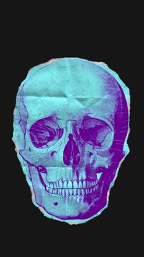 A drag and drop skeleton anatomy themed colourful ephemera that animates into place from torn paper.
