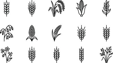 Naklejka premium A collection of fifteen minimalist black and white line art icons depicting various cereal crops and grains for agriculture