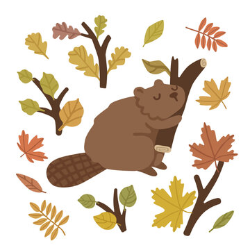 4000Cute beaver hugging a tree branch surrounded by colorful autumn leaves and twigs. Adorable woodland character for nursery decor, seasonal projects and nature themes. Flat vector illustration.