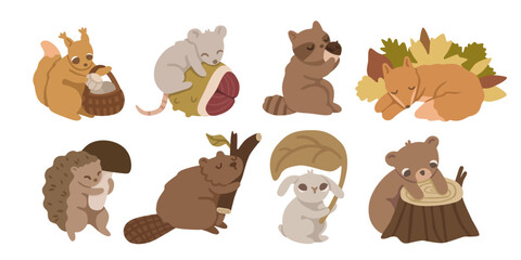 Cute woodland animal collection featuring bear, squirrel, mouse, raccoon, fox, rabbit, hedgehog and beaver with autumn elements. Cozy forest character set. Flat vector illustration. © passionastia