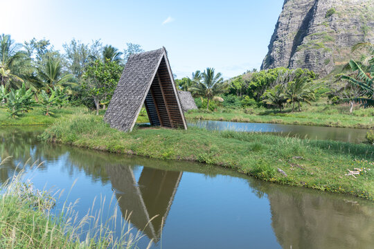 A-Frame Cabin by Tropical Pond