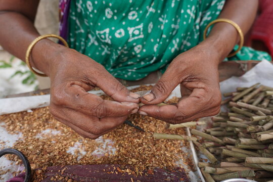 Hands Rolling Traditional Leaf Bidis with Tobacco by Hand