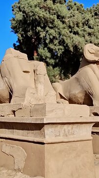 Karnak Temple in Luxor, Egypt. Ram-headed sphinx alley at Karnak Temple. Ancient stone statues of Amun god along sacred processional avenue.