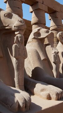 Karnak Temple in Luxor, Egypt. Ram-headed sphinx alley at Karnak Temple. Ancient stone statues of Amun god along sacred processional avenue.