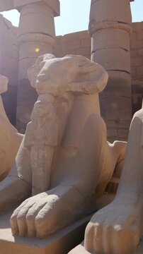 Karnak Temple in Luxor, Egypt. Ram-headed sphinx alley at Karnak Temple. Ancient stone statues of Amun god along sacred processional avenue.