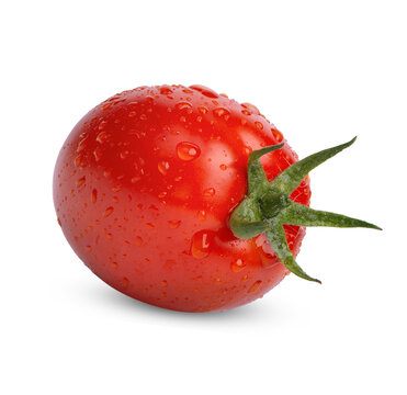 Fresh tomatoes with water drops isolated on transparent background (.PNG)