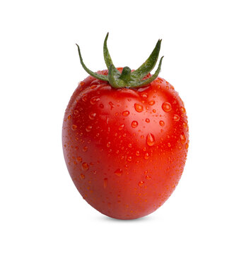Fresh tomatoes with water drops isolated on transparent background (.PNG)