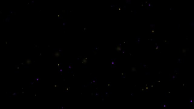 Professional Stars Professional Element