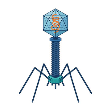 Bacteriophage T2 Virus Isolated on Transparent
