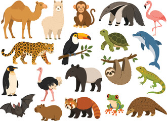 Fototapeta premium Set of cute wild animals