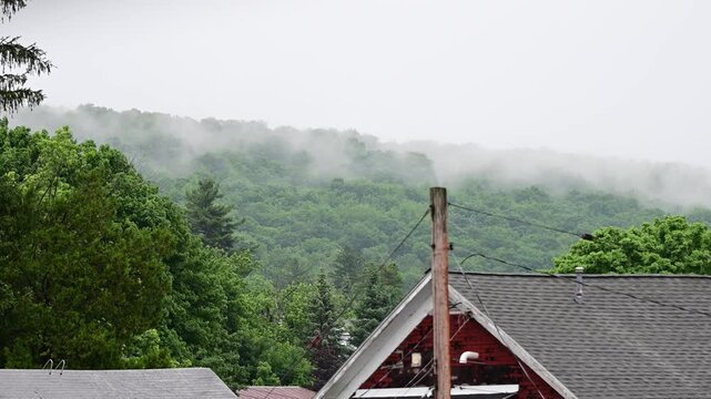 Rain weather wind tree crown, raining movement, rooftops, fog, moving clouds