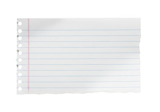 Single torn edge sheet of lined notebook paper isolated on a transparent background for notes