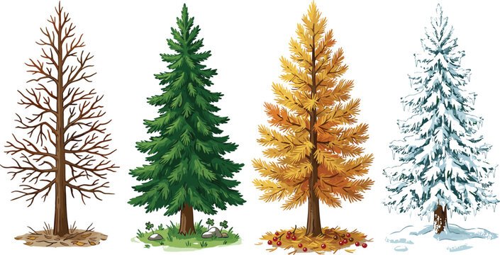 Four Seasons Pine Tree Lifecycle Vector Set with Same Conifer in Spring Summer Autumn and Winter Snow Hand Drawn Sketch IllustrationFour Seasons Pine Tree Lifecycle Vector Set with Same Conifer in Spr