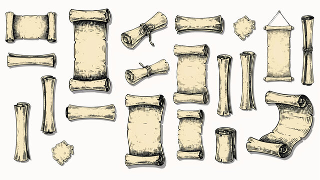 collection of various rolled up parchment paper scrolls and pages