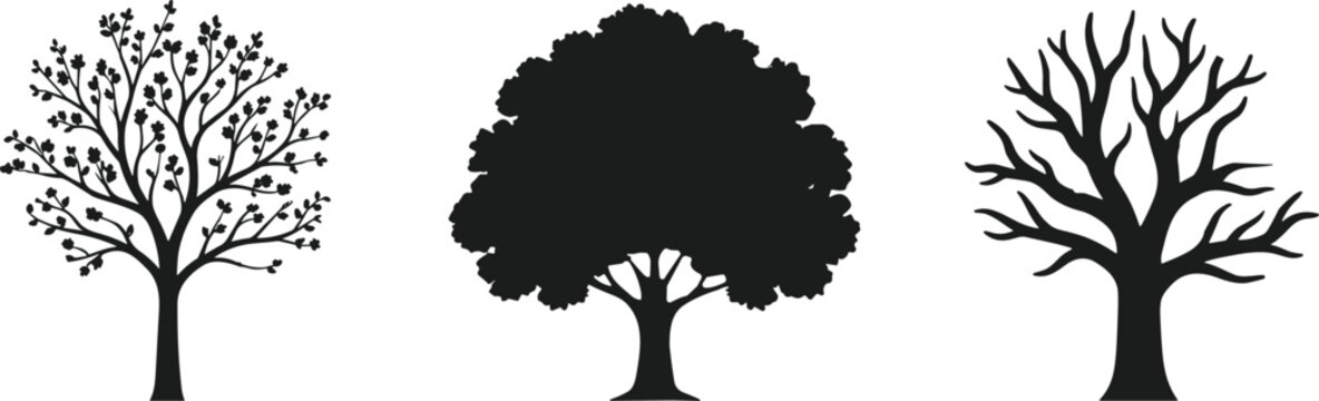 Tree Silhouette Set with Flowering Deciduous and Leafless Tree Designs