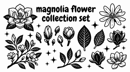 magnolia flower collection set with different blossoms buds leaves vector illustration black and branches arranged as premium botanical floral assets for elegant decoration and commercial © samira