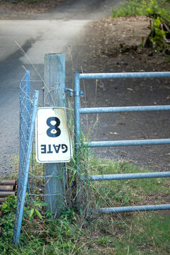 Metal Gate Number 8 Outdoors