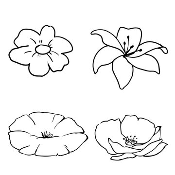 Hand Drawn Flower Line Art Illustration Set, Minimalist Floral Sketch Outline Vector Element