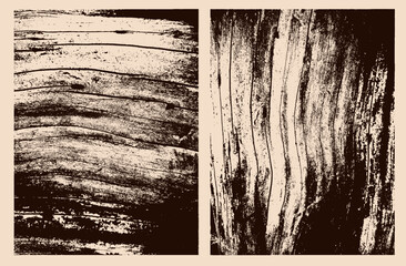 Fototapeta premium Natural wooden textures with tree ring patterns, cut trunk stamps. Eco concept banner featuring vertical, horizontal light wood grain, concentric growth lines, organic timber background, rustic forest