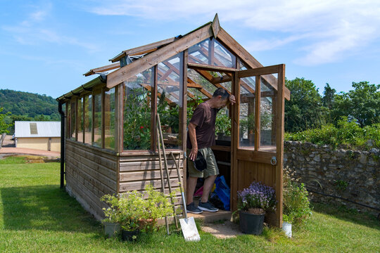 Heatwave image with a gardener suffering from heat exhaustion in a summer heatwave. Heat stroke and hot weather picture. His head hangs low in the searing temperature. 
