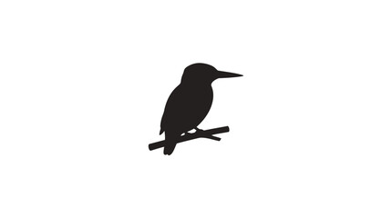 Obraz premium Kingfisher Bird Silhouette Vector