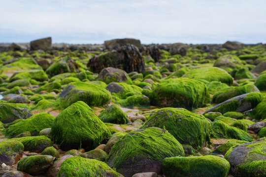 Brora beach in the Scottish highlands. Brora is a village on the North Coast 500 route in Scotland