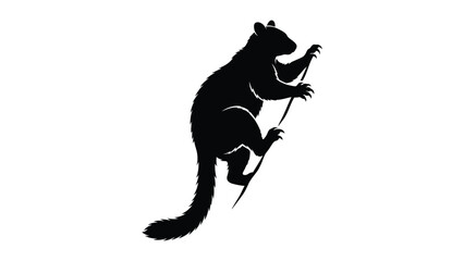 Squirrel silhouette stands in a climbing position against a plain white backdrop. © sajida