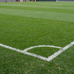 Obraz premium Synthwave Soccer Nature. Football Field With A White Circle Line On Green Grass