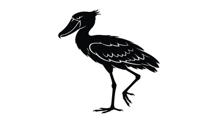 Shoebill stork stands in profile on a solid white surface. © sajida