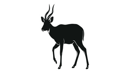 Antelope silhouette stands in profile showcasing curved horns and a slender muscular body. © sajida