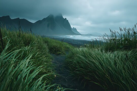 Dramatic Icelandic black sand beach with jagged Vestrahorn mountain under a moody overcast sky and lush green foreground vegetation in soft natural light