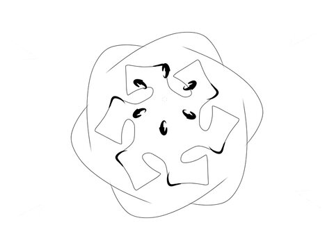 vector illustration of a abstract symbol