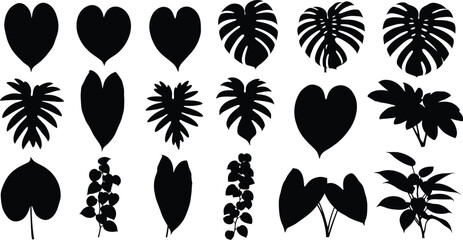 Tropical Plant Leaf Silhouette Set with Monstera Philodendron and Botanical Vector Elements © MDJAYNAL