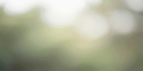 Soft-focus abstract bokeh of nature's serene beauty, with gentle green and white light creating a tranquil and dreamy ambiance, perfect for backgrounds. © Md