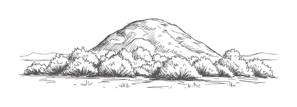 Hand drawn of a rocky hill with dense bushes and distant mountains shrub