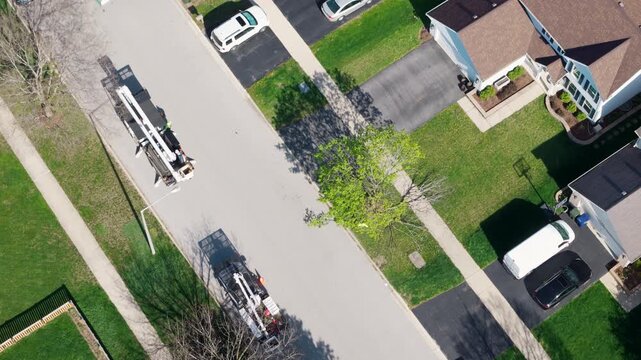 Drone top down footage of Tree trimming with bucket truck near roadside, maintenance and professional service